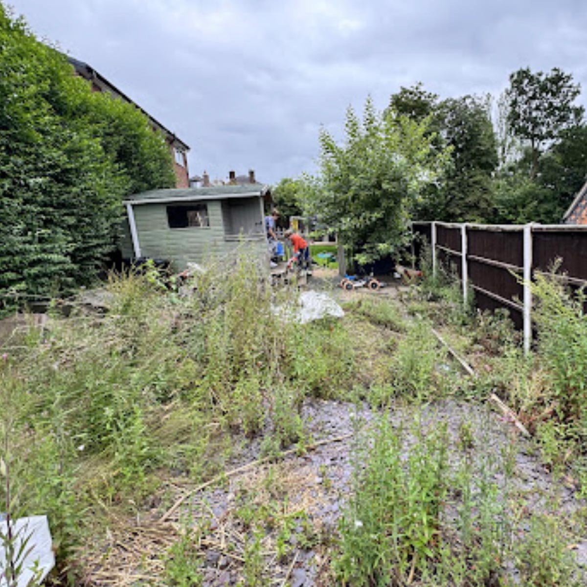 garden