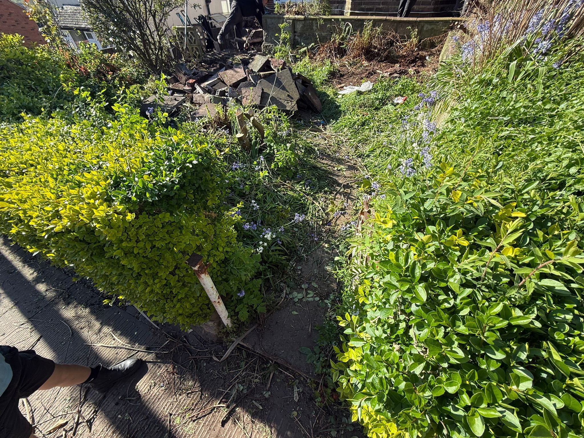 driveway before
